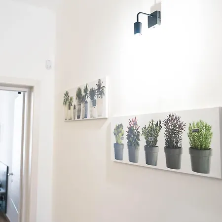 Apartment Nicolaus 204